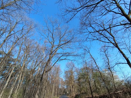 IMG_20230409_102027.jpg