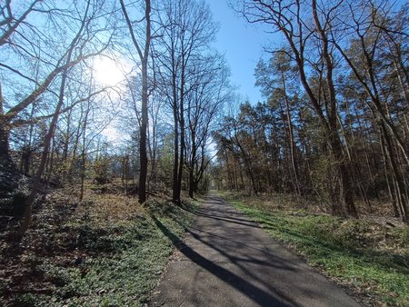 IMG_20230409_102216.jpg