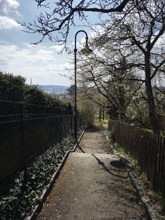 20230409_142602. 50 mp.jpg