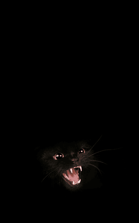 cat1.png