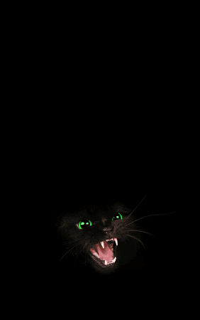 cat2.png