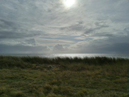 20121007_140446_HDR.jpg