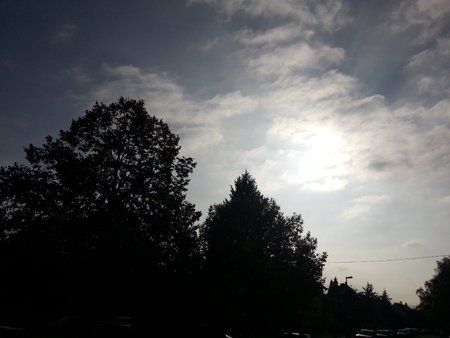 20121024_153449.jpg