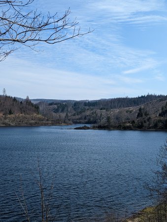 PXL_20230407_112258270.jpg