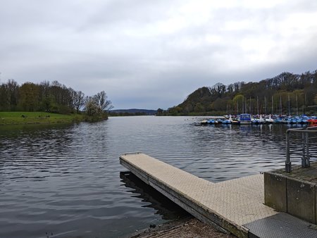 IMG_20230410_181031.jpg