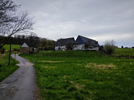 IMG_20230410_174500.jpg