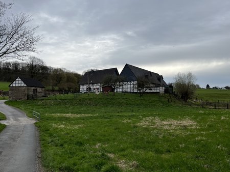 IMG_1577.JPG