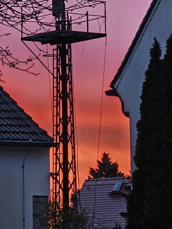 20230411_061625.jpg