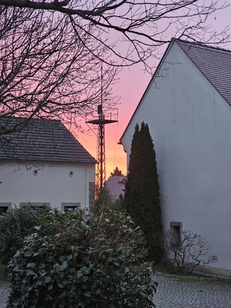 20230411_061629.jpg