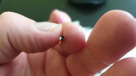 20230411_122122.jpg