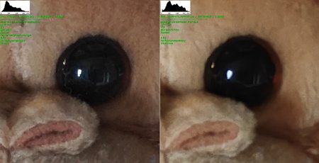 10x.jpg