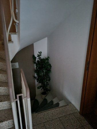20230413_201226.jpg