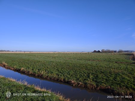 IMG_20230414_080926.jpg