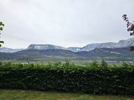 20230414_081434_m_SO_u_HDR.jpg