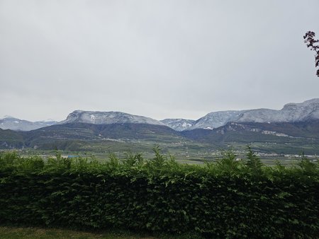 20230414_081619_o_SO_m_HDR.jpg