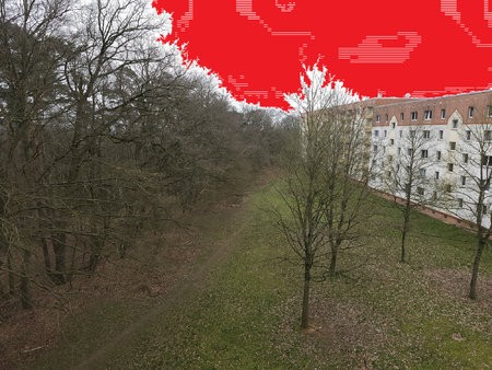 20230409_135239-Pro.jpg
