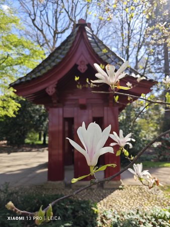 IMG_20230414_122630.jpg
