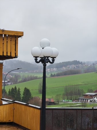 IMG_20230415_115147.jpg