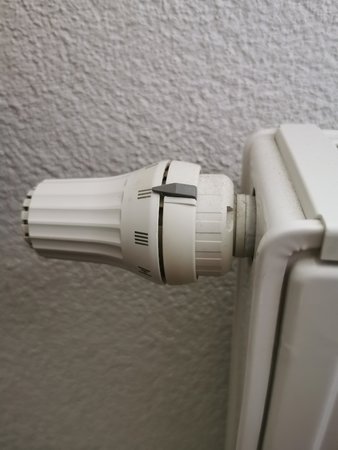 IMG_20230415_131221.jpg