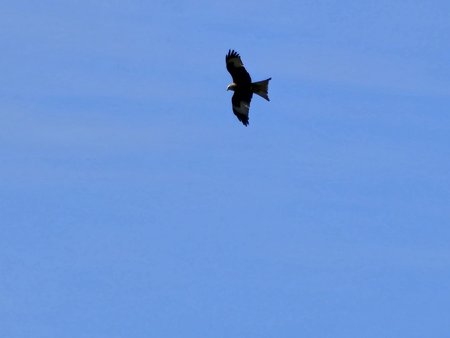 20230410_122027.jpg