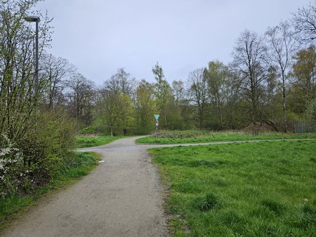 20230415_173559.jpg