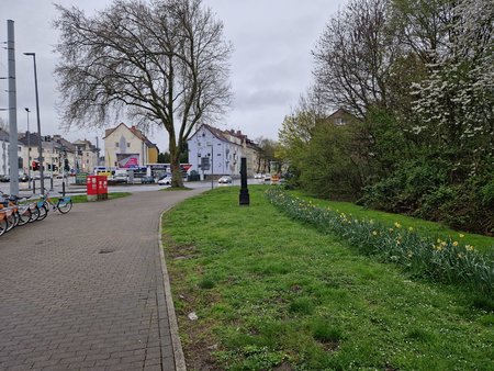20230415_181445.jpg