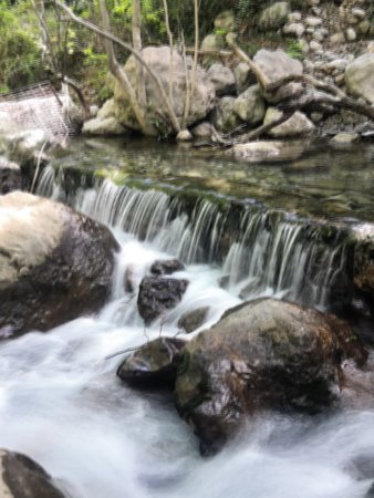 IMG_20220509_150024.jpg