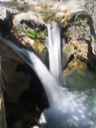 IMG_20220509_143933.jpg