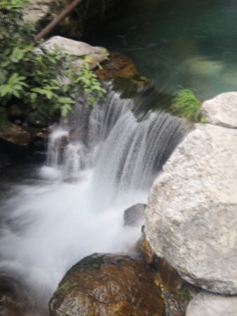 IMG_20220509_141235.jpg