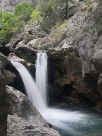 IMG_20220509_140611.jpg