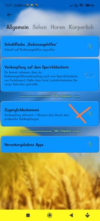Screenshot_2023-04-16-11-21-57-405_com.android.settings-edit.jpg