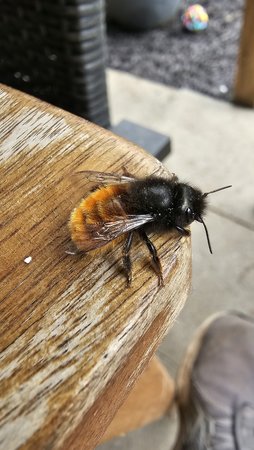 20230416_151445.jpg