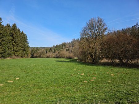 AGC_20230410_101715425.jpg