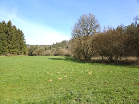 20230410_101656.jpg