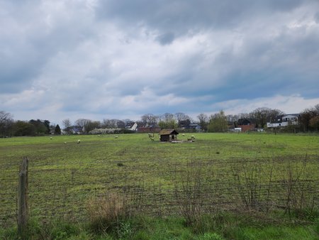 20230416_154647.jpg