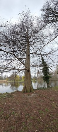 20230408_111811.jpg