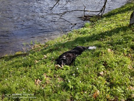 IMG_20230419_152906.jpg