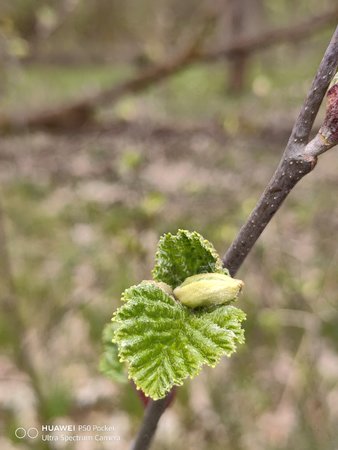 IMG_20230419_150211.jpg