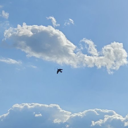 20230419_162458.jpg