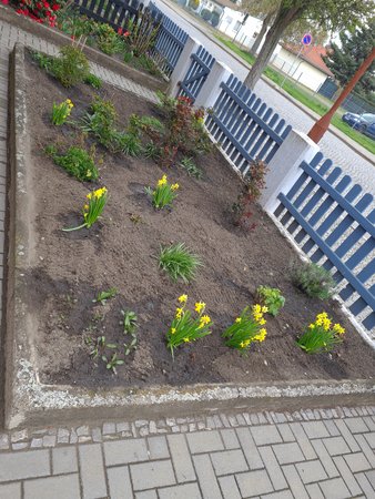 20230420_111822.jpg
