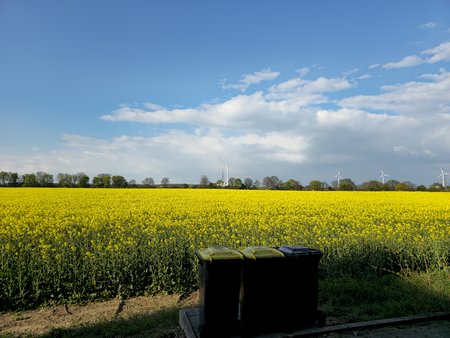 20230420_181804.jpg