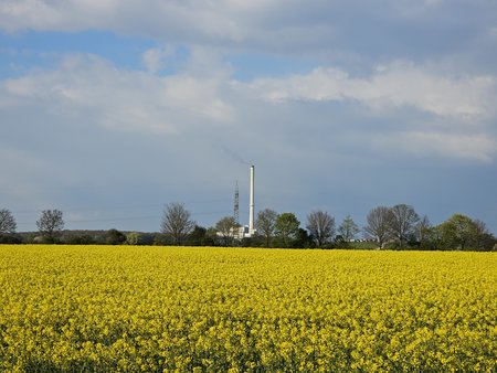 20230420_181809.jpg