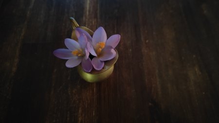 IMG20230308180031.jpg