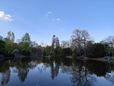 IMG_20230421_181742.jpg