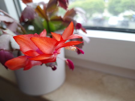 20230422_164610.jpg