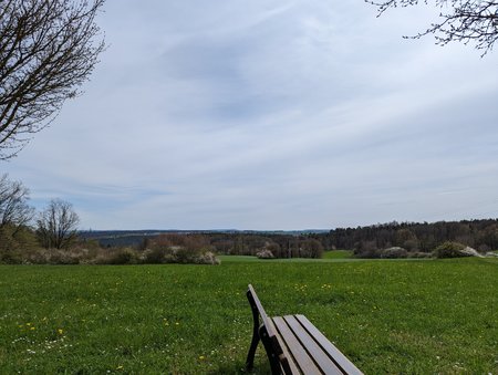 PXL_20230422_124729921.jpg