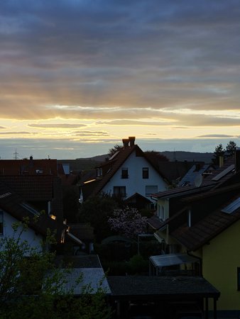 20230424_201422.jpg