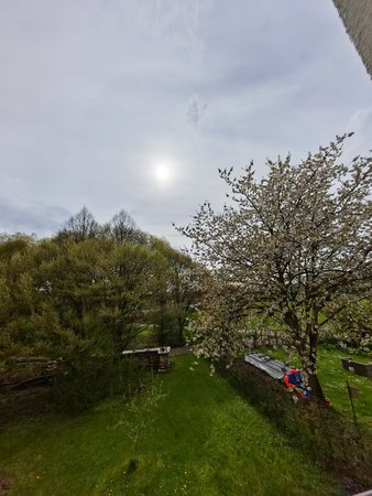 IMG_20230426_161632.jpg