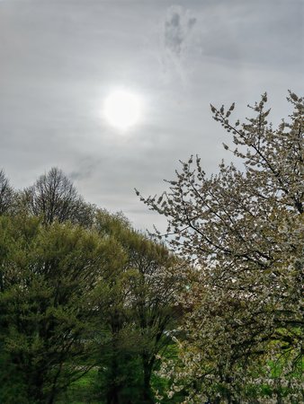 IMG_20230426_161625.jpg