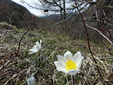 IMG_20230427_195107_666.jpg